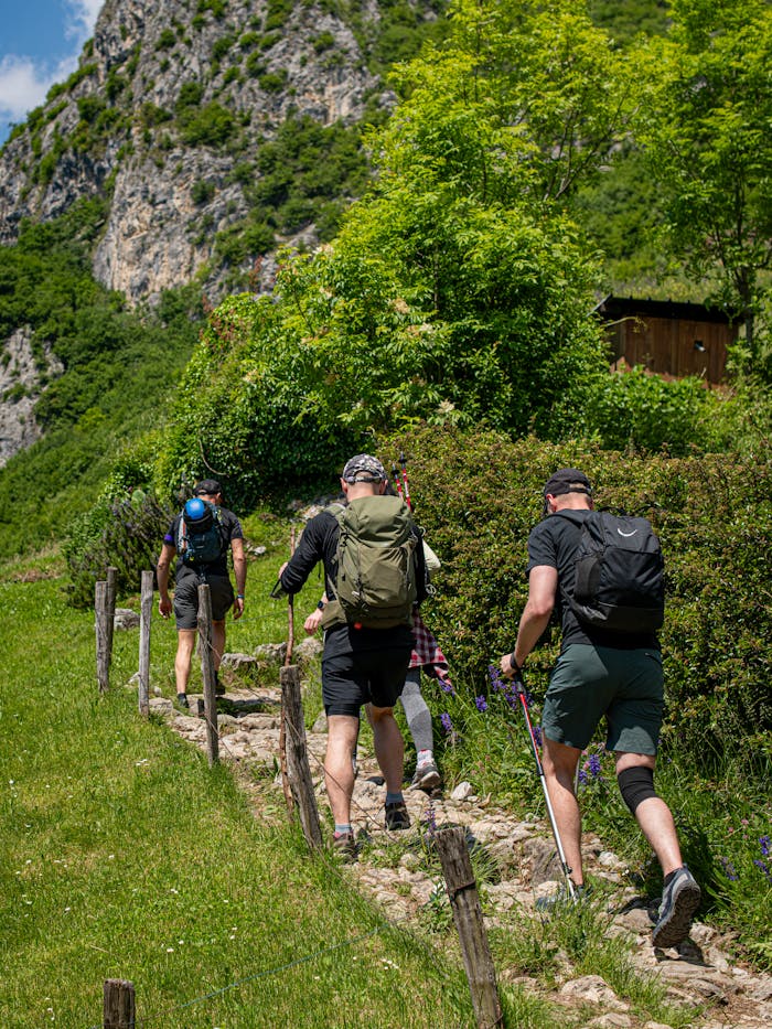 services-05 Wanderer erkunden Bergpfade in alpiner Landschaft.